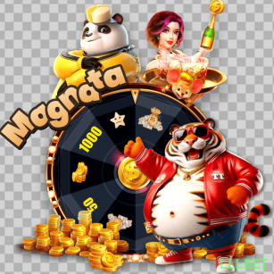 Controles de paJogonto e BRL em lllbet